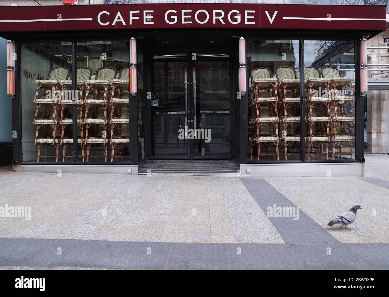 Parigi, Francia. 18 Marzo 2020. Un piccione è visto di fronte ad un ristorante chiuso presso gli Champs Elysees Avenue a Parigi, Francia, 18 marzo 2020. L'istituto nazionale francese di statistica INSEE ha dichiarato il 29 maggio che il prodotto interno lordo (PIL) della Francia è stato rivisto in diminuzione di 0.5 punti, a meno del 5.3% per i primi tre mesi dell'anno. Credit: Gao Jing/Xinhua/Alamy Live News Foto Stock