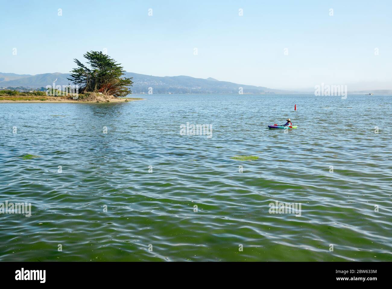 Morro Bay, California/USA - 27 maggio 2020 Panoramica dell'estuario della Baia di Morro, area dove si incontrano acqua salata e acqua dolce. Kayak Morro Bay Foto Stock