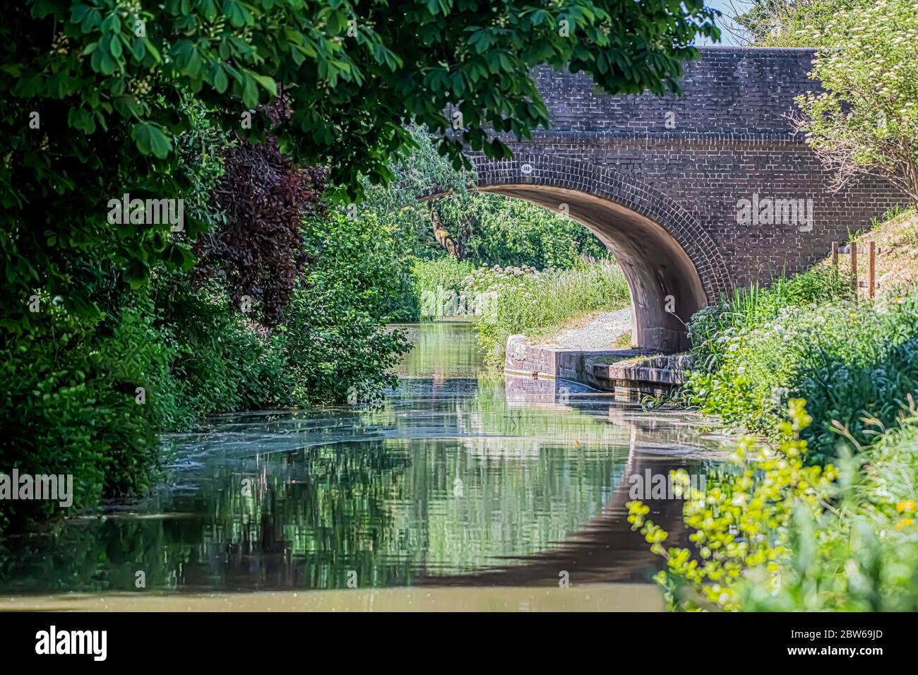 Riflessione di acqua sotto un ponte con un cerchio, a piedi lungo il canale Kennett e Avon giugno 2020 Devizes Wiltshire UK Foto Stock