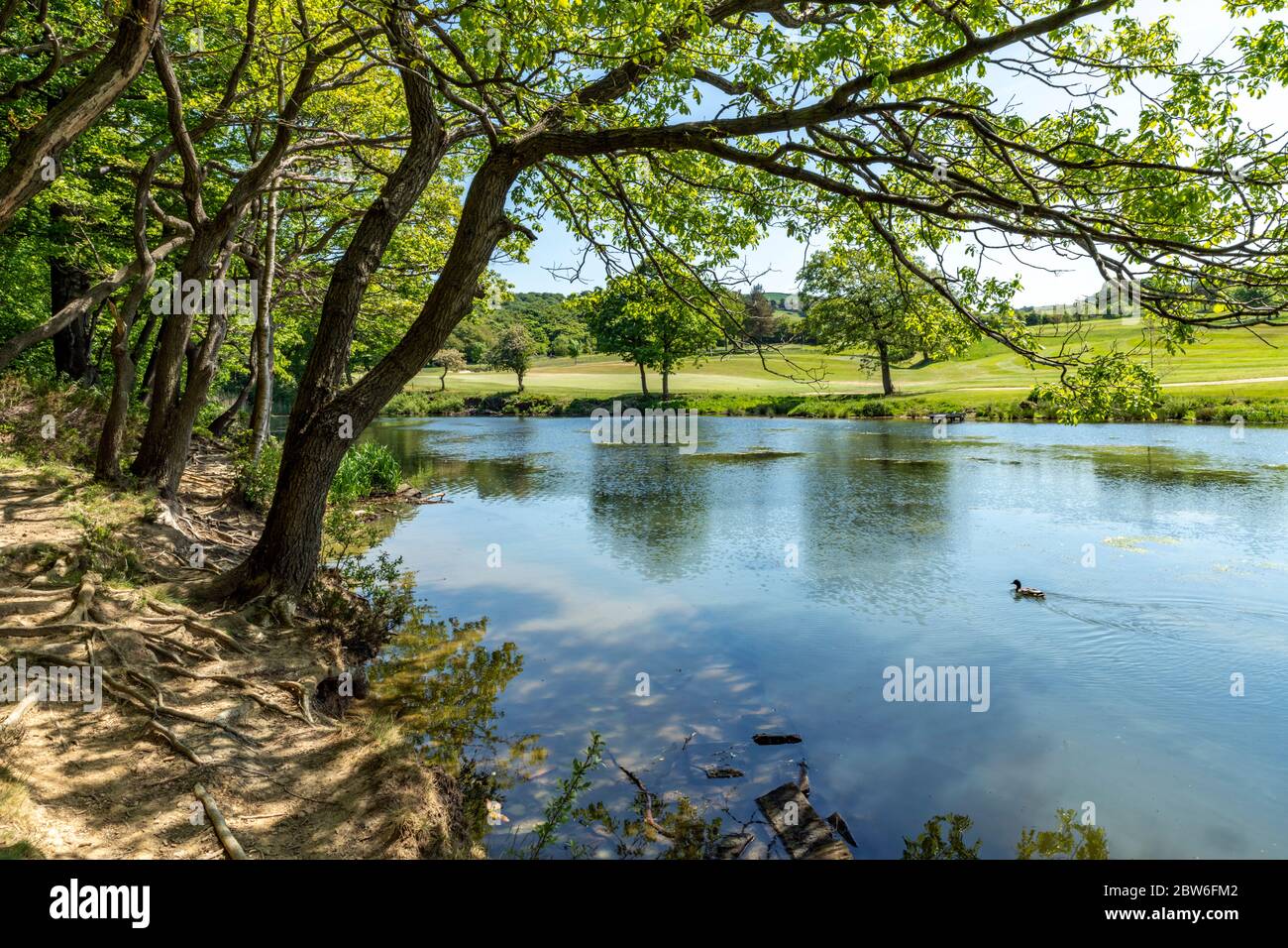 Riserva di Meltham Mills vicino a Holmfirth nello Yorkshire occidentale Foto Stock