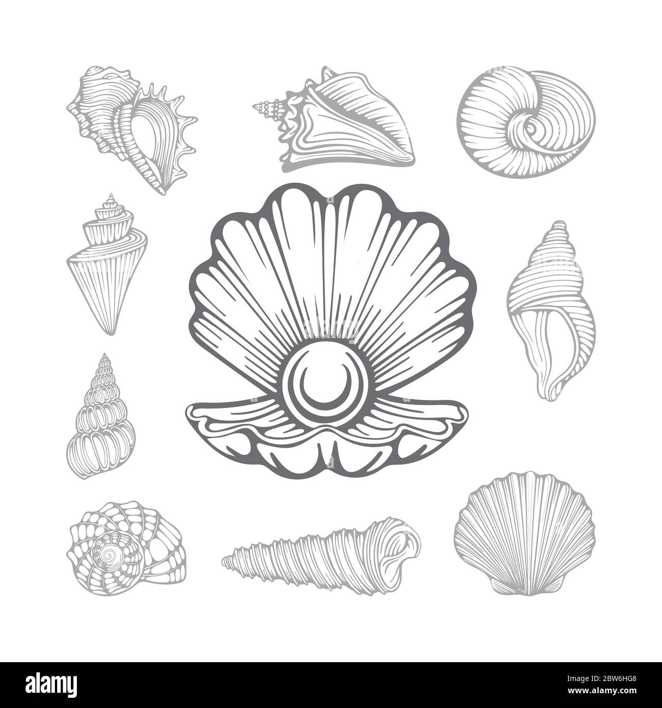 Conchiglia e conchiglie in perla aperte. Diverse conchiglie marine disegnate a mano insieme di illustrazioni vettoriali. Parte del set. Illustrazione Vettoriale