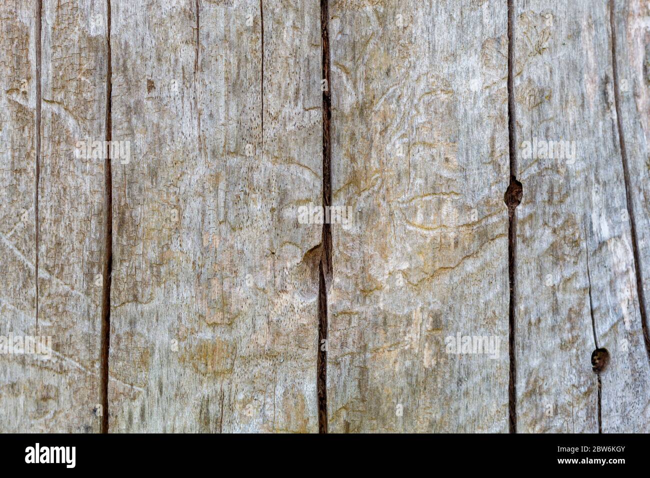 Vecchia struttura di legno incrinata agli agenti atmosferici Foto Stock