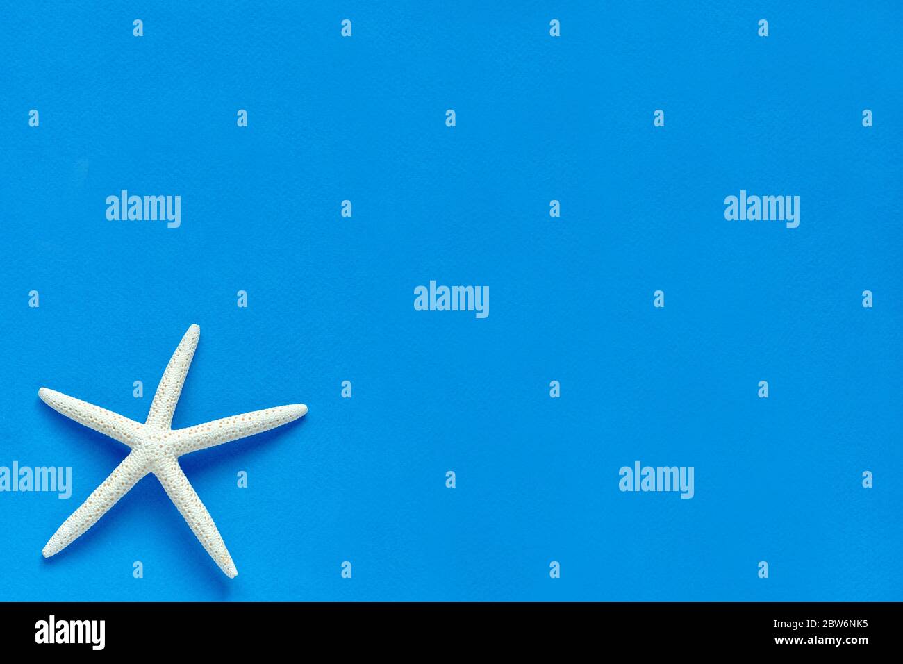 Barretta bianca Starfish su sfondo blu. Stelle e conchiglie marine. Mare, vacanza, atmosfera di vacanza. Vista dall'alto. Disposizione piatta. Spazio per testo. Foto Stock