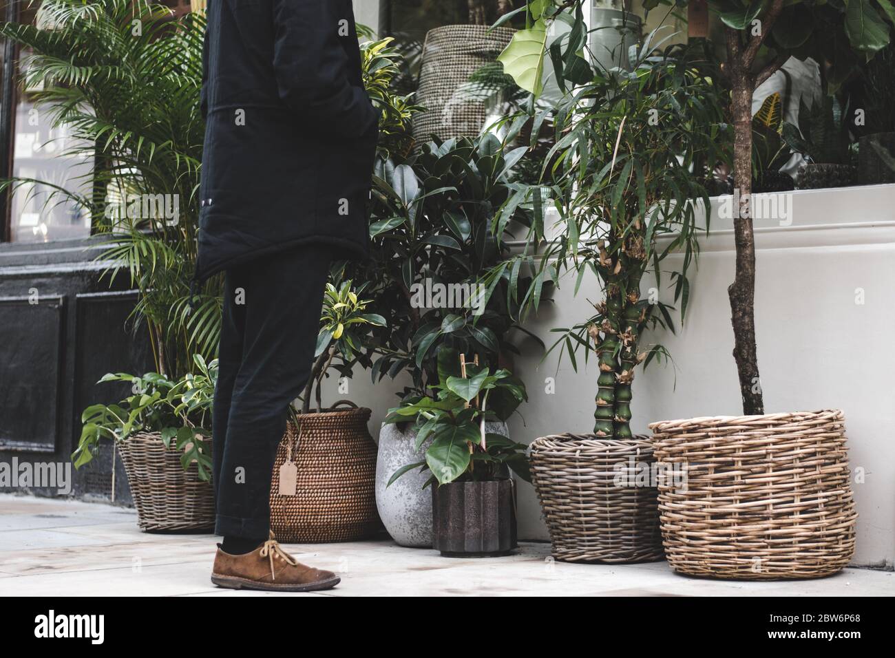 Un uomo ben vestito che guarda all'interno di un negozio di piante boutique nella città di Londra. Foto Stock