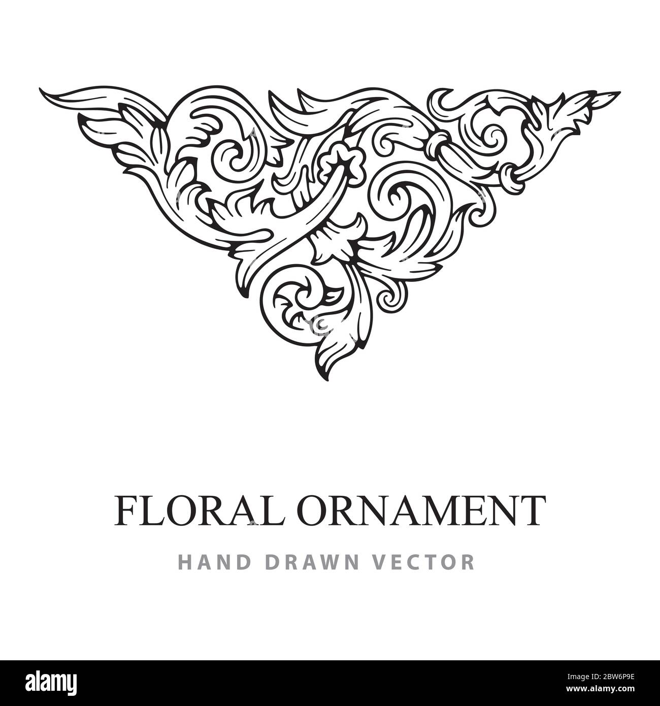 Ornamento floreale. Ornamento floreale vintage disegnato a mano. Disegno ornamentale inciso. Parte del set. Illustrazione Vettoriale