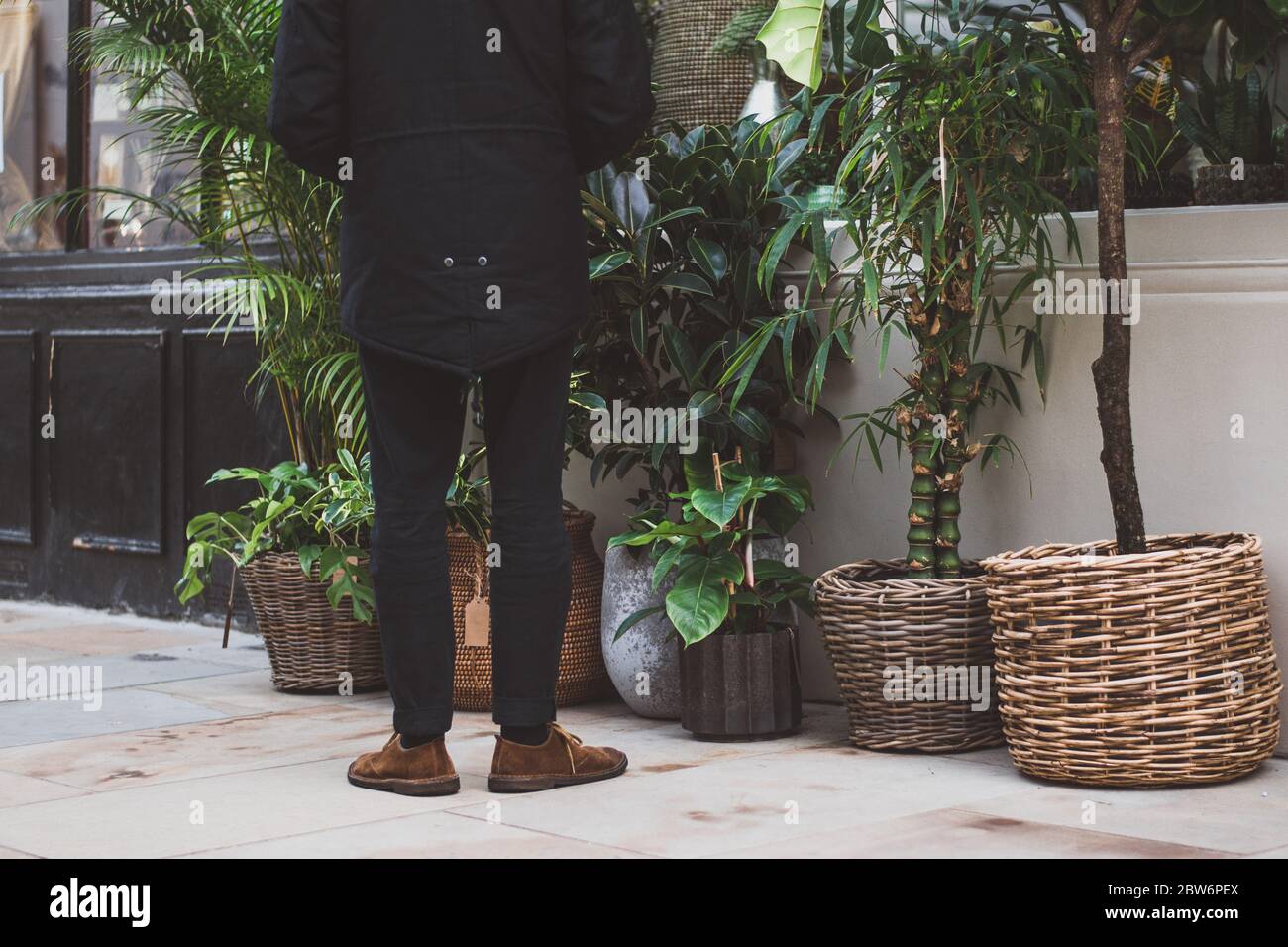 Un uomo ben vestito che guarda all'interno di un negozio di piante boutique nella città di Londra. Foto Stock