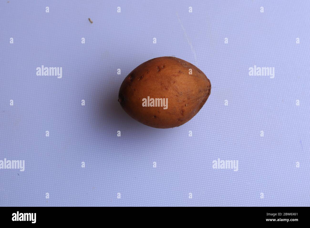 Saponata fresca matura isolata su fondo bianco Foto Stock