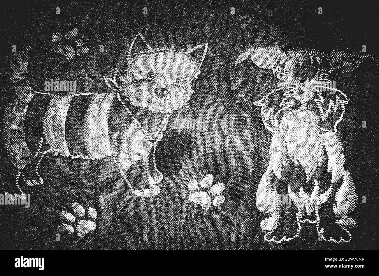 Grunge di distress tessitura vettoriale di tessuto con cuccioli, cani e gatti gattino. Sfondo bianco e nero. Illustrazione EPS 8 Illustrazione Vettoriale