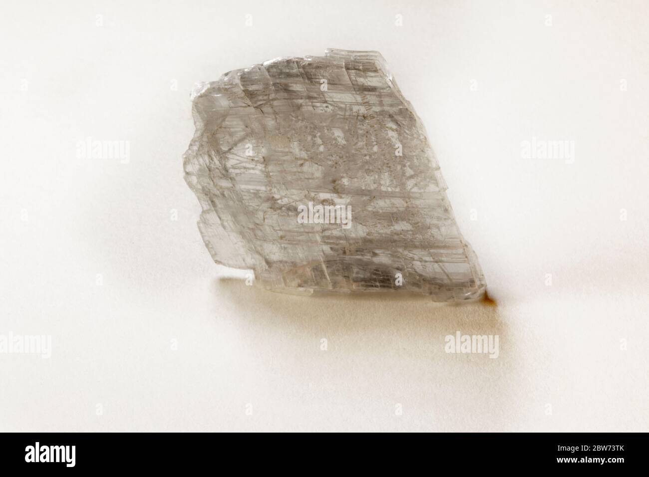 Minerale di gesso dal Messico, che fa parte della scala di durezza di Moh (numero 2) Foto Stock