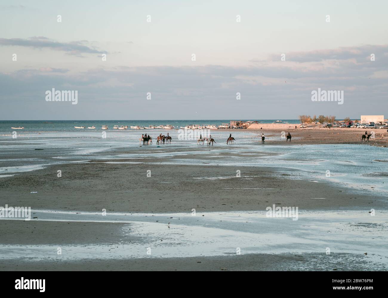 Bahrain City / Bahrain - 15 gennaio 2020: Persone che cavalcano cavalli in acqua in spiaggia Foto Stock