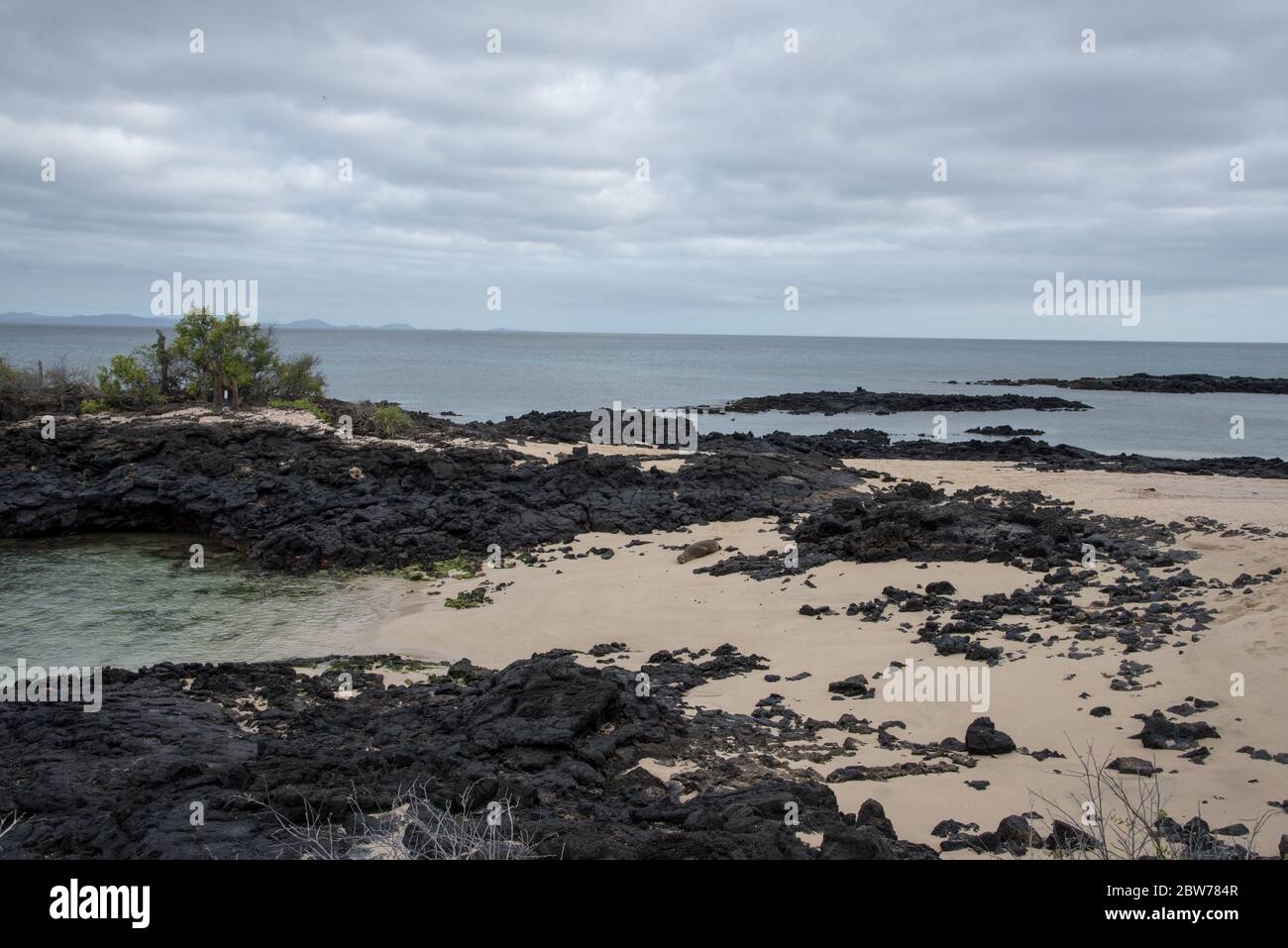 Spiaggia sabbiosa e rocciosa di lava a Dragon Hill su Santa Cruz alle isole Galapagos. Foto Stock