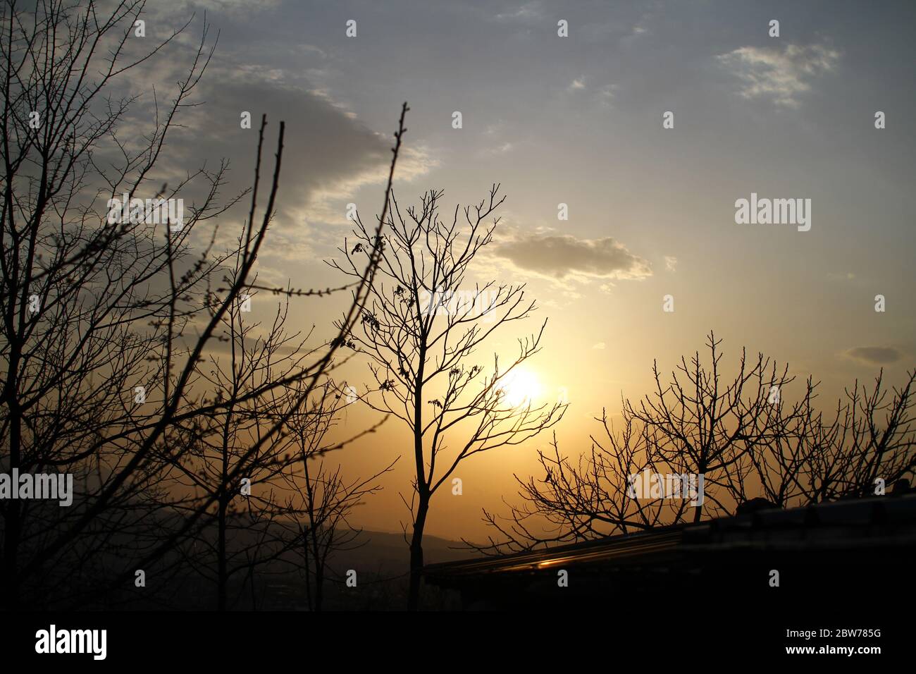 tramonto albero alba, rosso arancio rosa cielo paesaggio Foto Stock