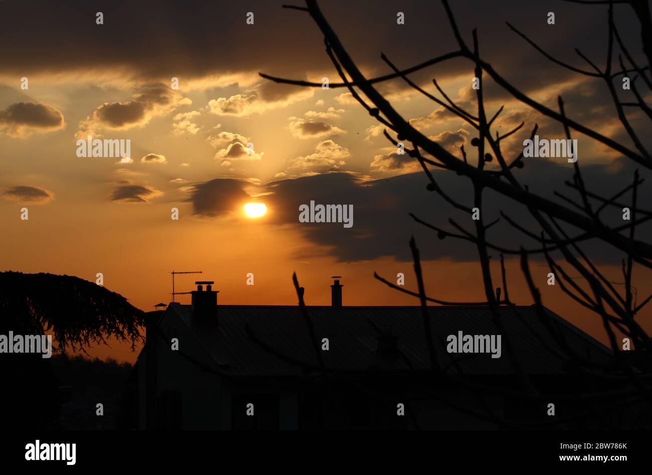 tramonto albero alba, rosso arancio rosa cielo paesaggio Foto Stock