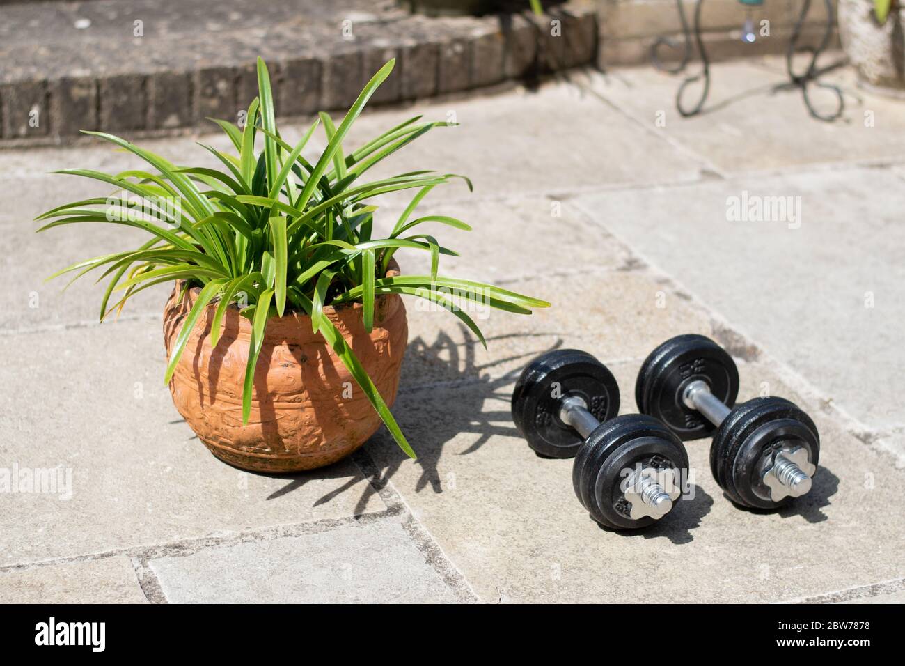 Una serie di pesi a manubri in una palestra con giardino naturale durante il blocco. Foto Stock