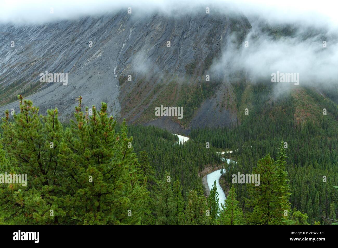 Mistaya Canyon in una giornata foggosa che mostra il fiume turchese, Alberta, Canada Foto Stock