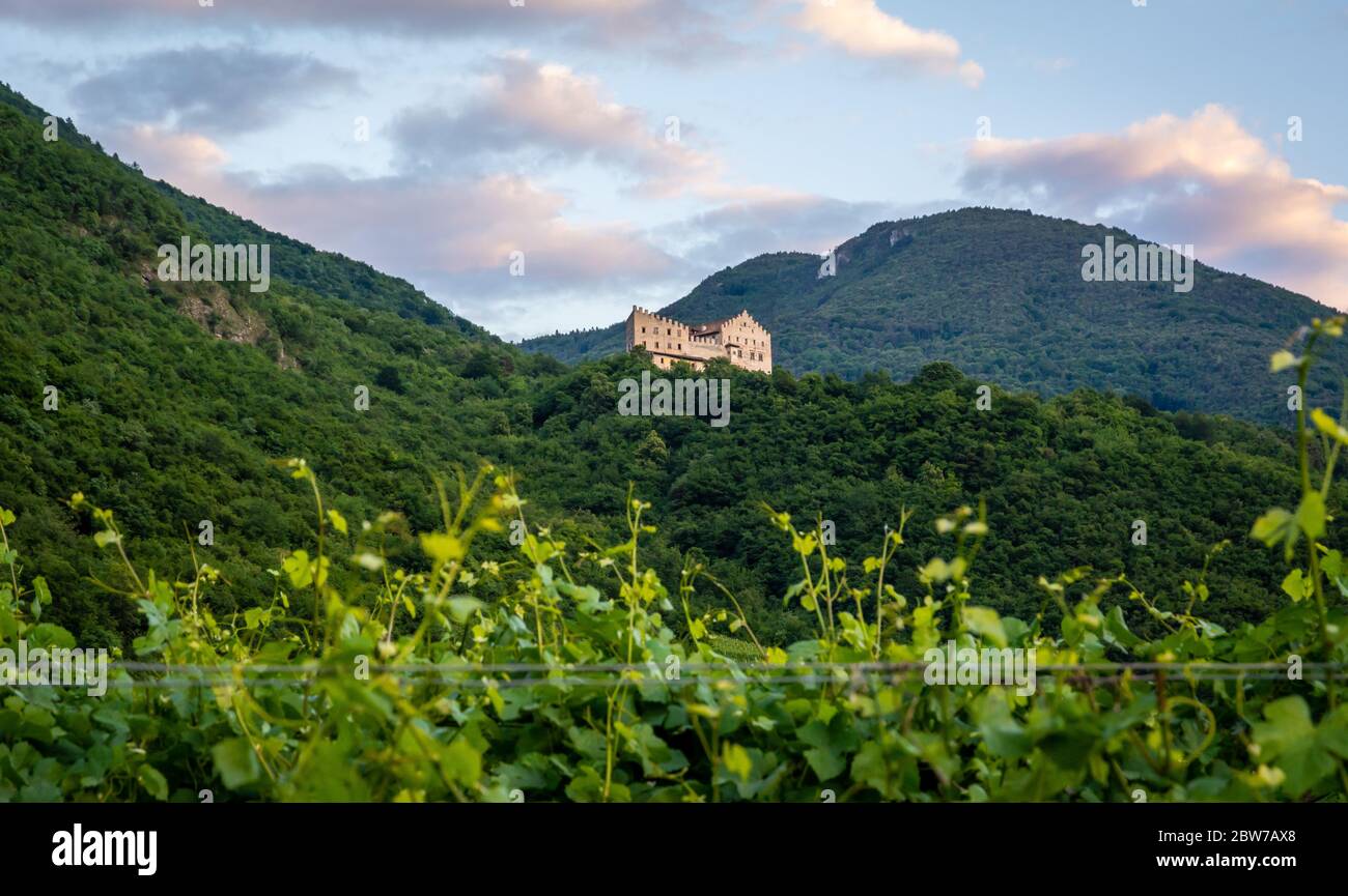 Castello Monreale a San Michele all'adige, Valle dell'Adige - Italia settentrionale - Castello medievale di Konigsberg Foto Stock