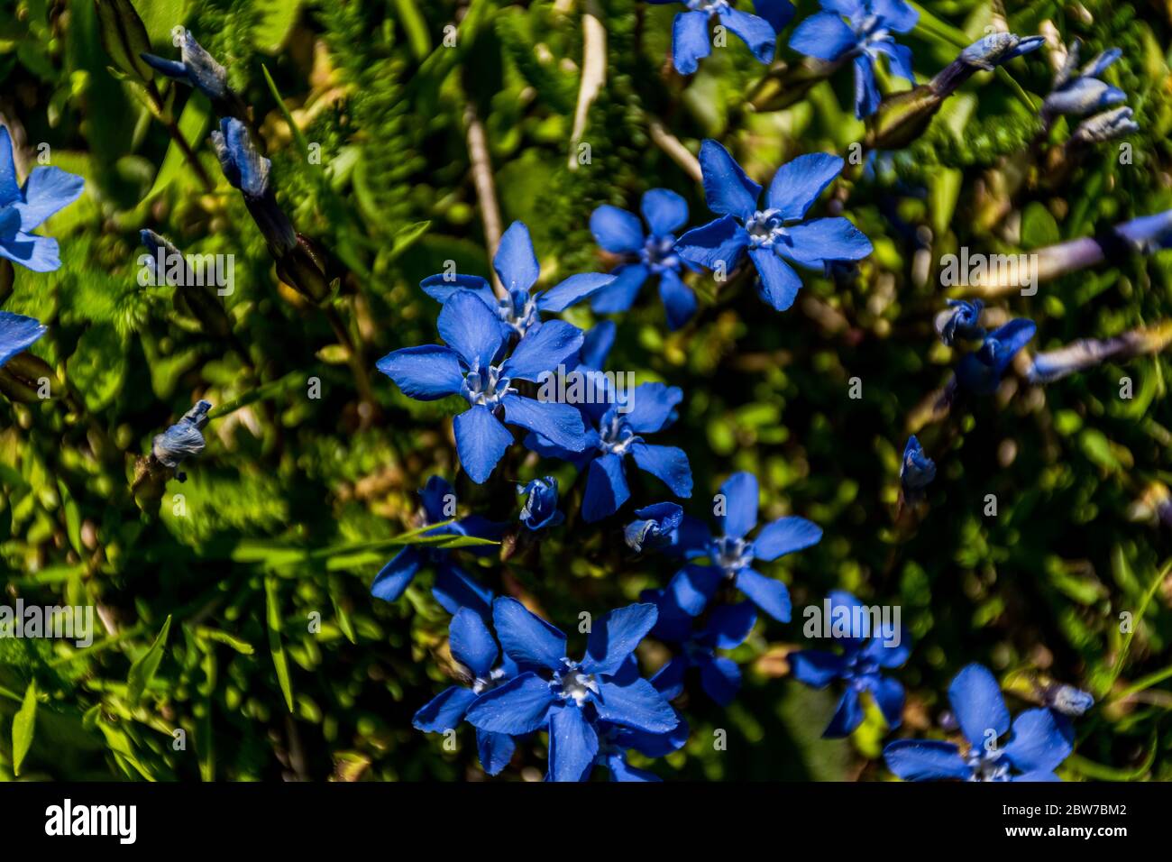 Paesaggio montano francese iconico nelle Alpi Foto Stock