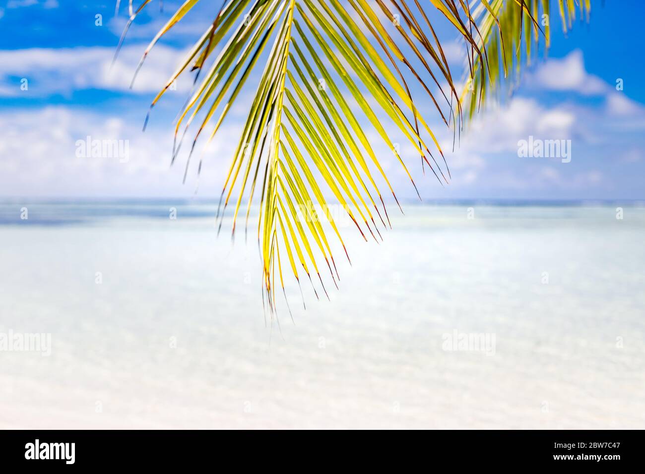 Splendido paesaggio estivo sulla spiaggia, esotica foglia di palma con vista mare e cielo blu. Idilliaca vacanza di lusso o di viaggio spiaggia scena. Spiaggia tropicale natura Foto Stock