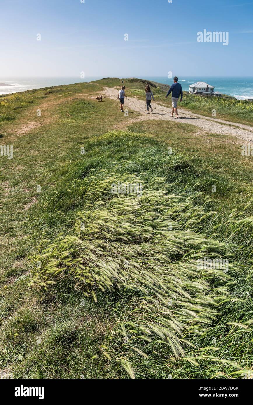 Un padre e i suoi figli e il loro cane si divertono a passeggiare lungo Pentire Point East in un pomeriggio di sole a Newquay in Cornovaglia. Foto Stock