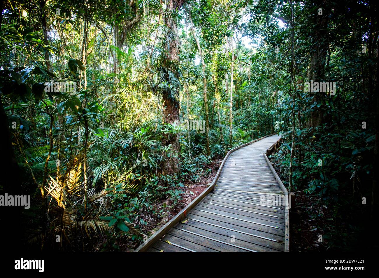 La passeggiata sul lungomare Daintree Jindalba in Australia Foto Stock