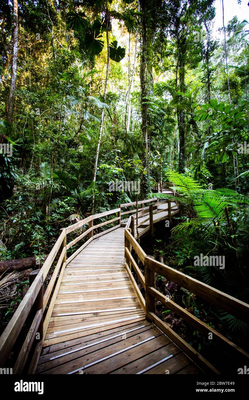 La passeggiata sul lungomare Daintree Jindalba in Australia Foto Stock