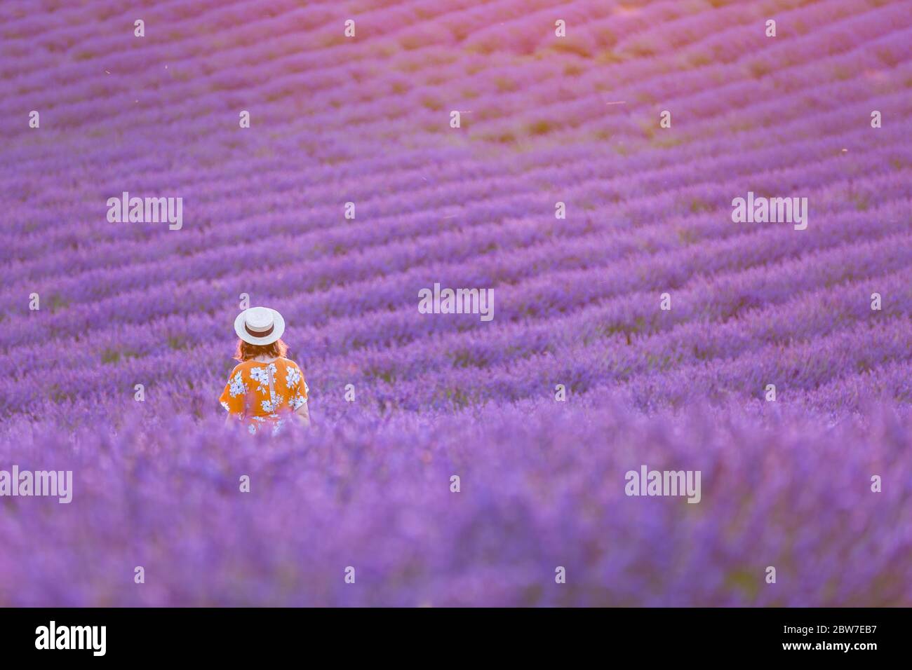 Paesaggio estivo in campo di lavanda sotto la pioggia in cappello di paglia e abito arancione lungo in giornata nuvolosa ventosa. Idilliaco terreno estivo Foto Stock