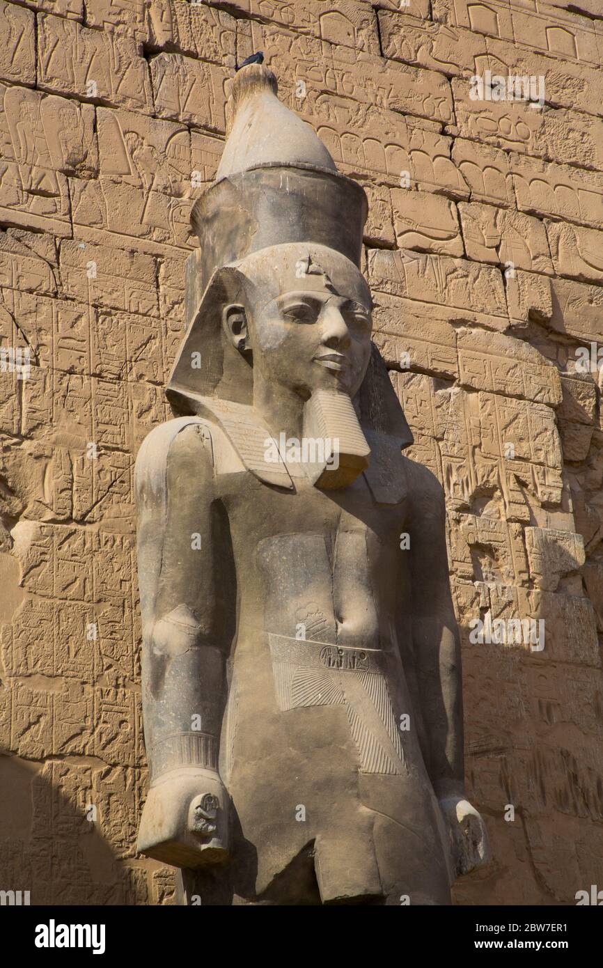 Colosso di Ramses II di fronte a Pylon, Tempio di Luxor, sito patrimonio dell'umanità dell'UNESCO, Luxor, Egitto Foto Stock