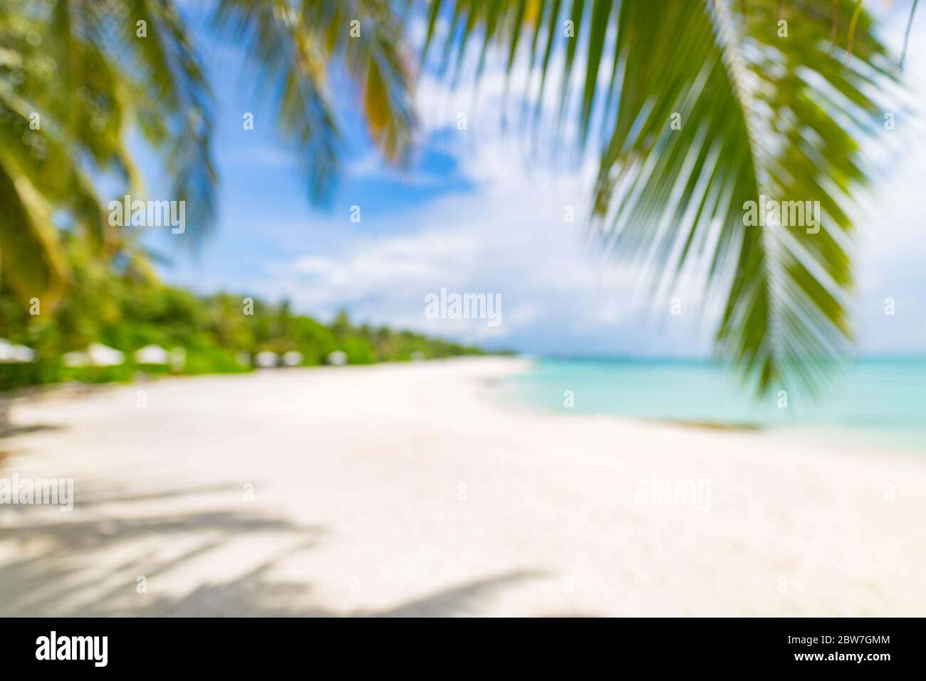 Estate spiaggia di sabbia esotica con palme sfocate e mare sullo sfondo. Sfondo da sogno per le vacanze con foglie di palma e vista sul mare. Estate paradiso spiaggia isola Foto Stock