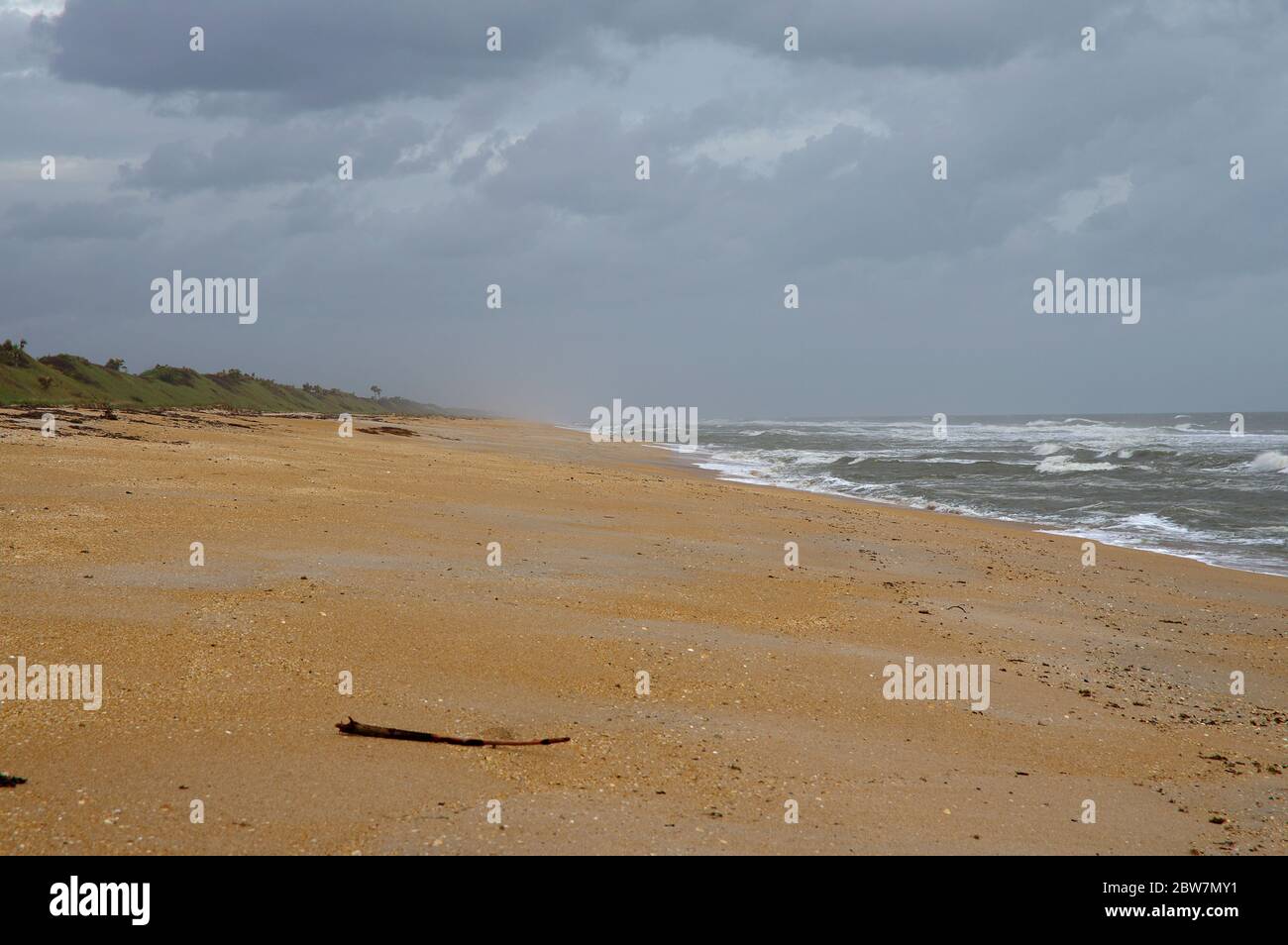 Splendida riserva del fiume Guana di North Beach sulla costa orientale, Florida state, USA Foto Stock