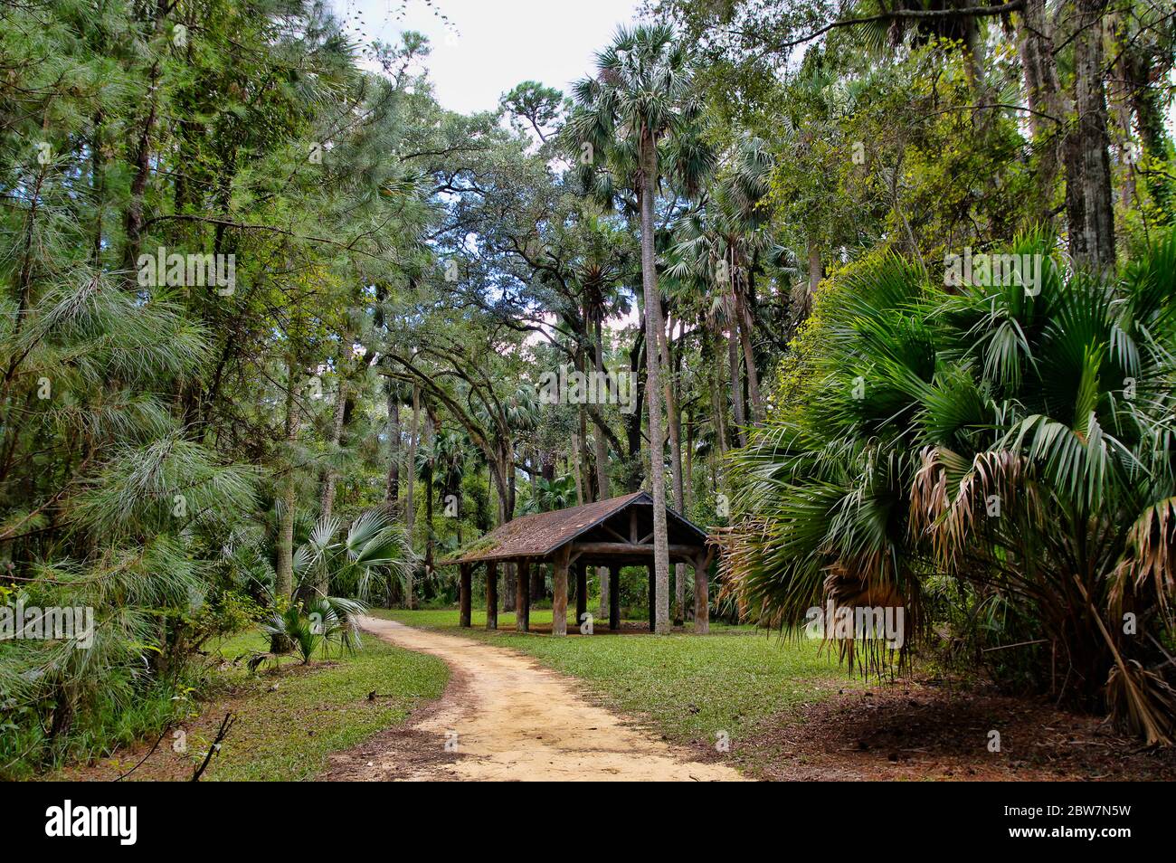 L'area ricreativa della Ocala National Forest, situata a Juniper Springs, Florida Foto Stock