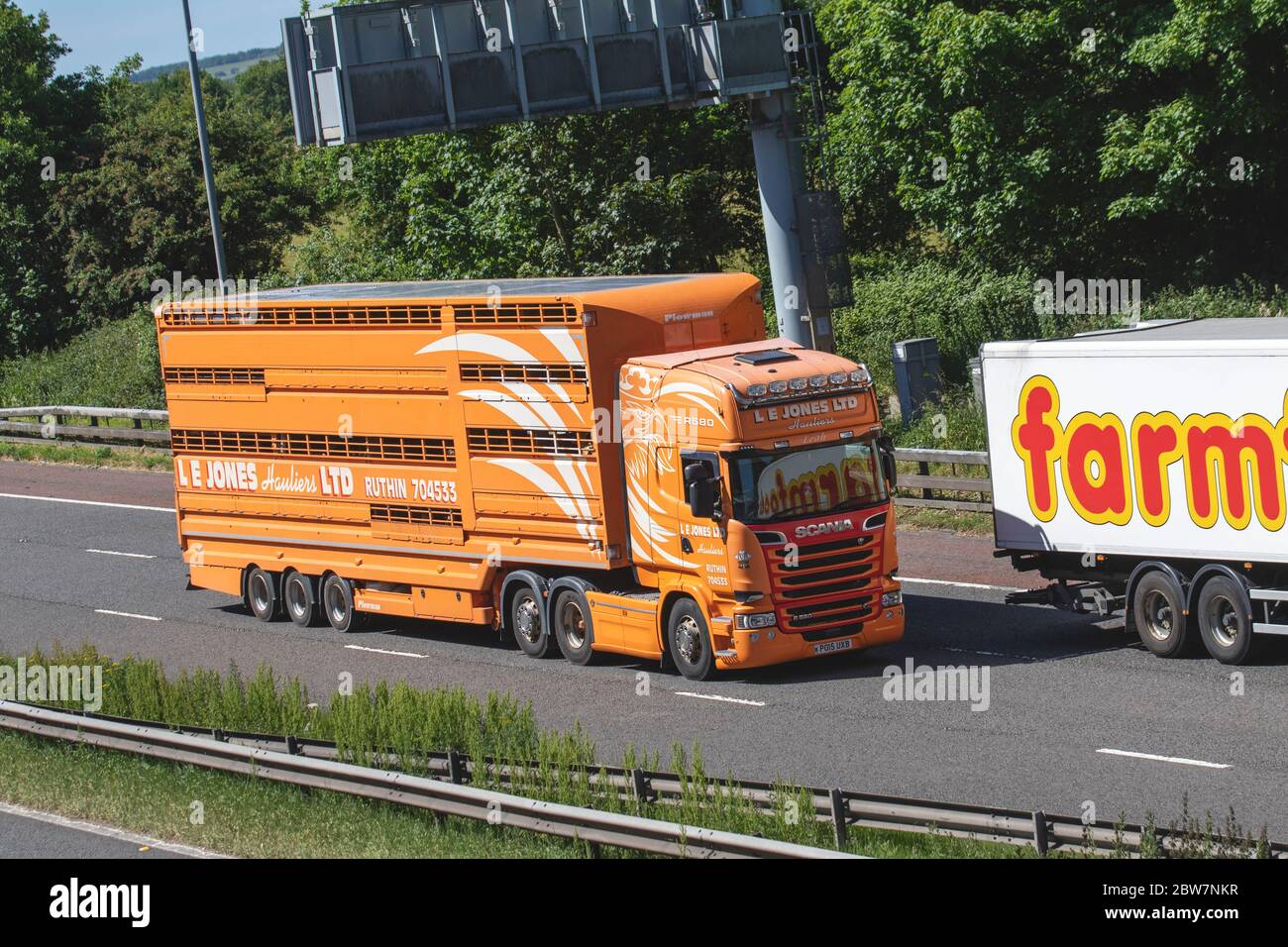 L e JONES LTD; autocarri per la consegna di merci, autocarri, trasporti, autocarri, cargo cargo, veicoli Scania, HGV per l'industria europea dei trasporti commerciali, M6 a Manchester, Regno Unito Foto Stock