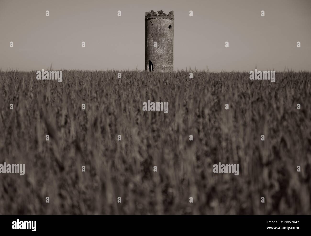 Black and White Landscape, Wilder's Folly, Tilehurst, Reading, Berkshire, Inghilterra, Regno Unito, GB. Foto Stock