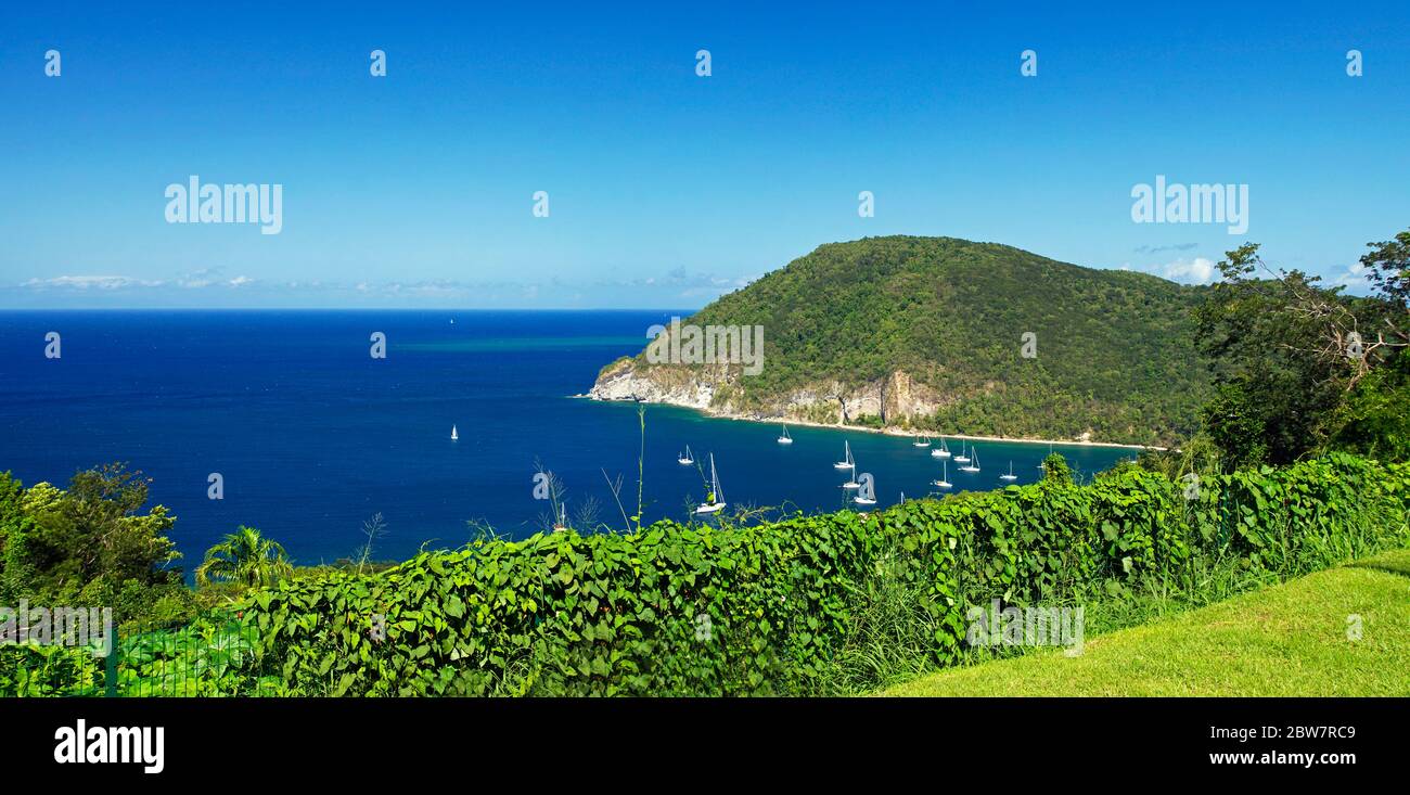 Il punto di vista della grande baia a Deshaies, basse-Terre, Guadalupa Foto Stock