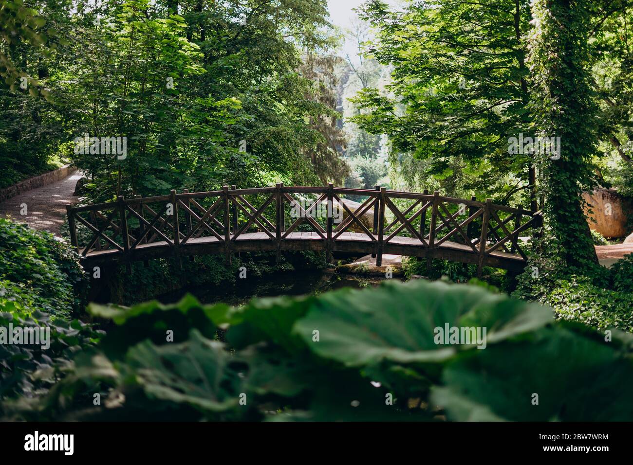 Sofia Park, Uman. Ponte di legno tra la foresta verde densa. Ponte di legno nel parco estivo. Bellissimo parco con erba fitta, alberi alti e un bosco Foto Stock