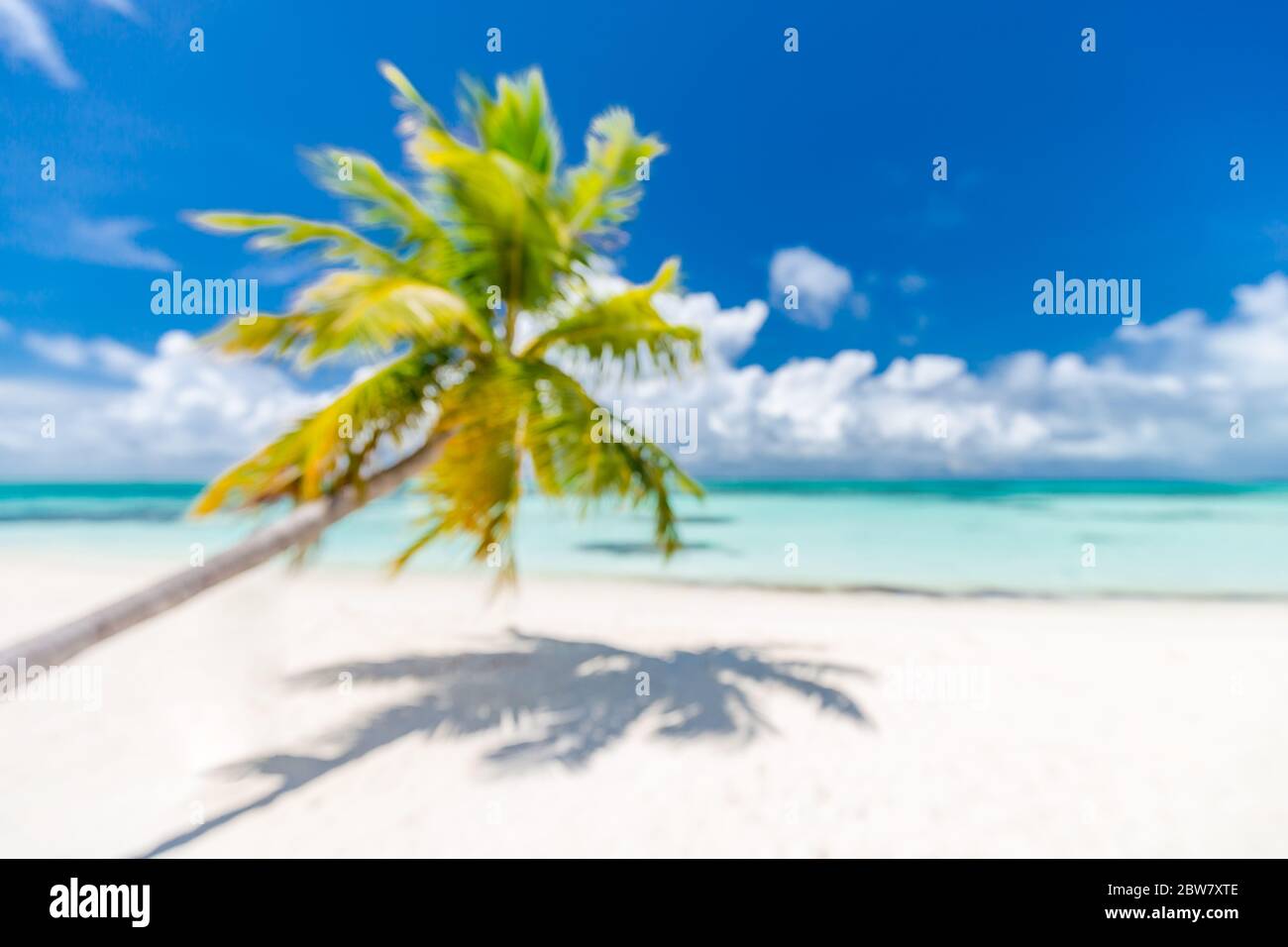 Sfondo paesaggio della spiaggia con mare sfocato e sfondo albero di cocco sotto il cielo blu. Spiaggia idilliaca esotica, isola tropicale paesaggio offuscato Foto Stock