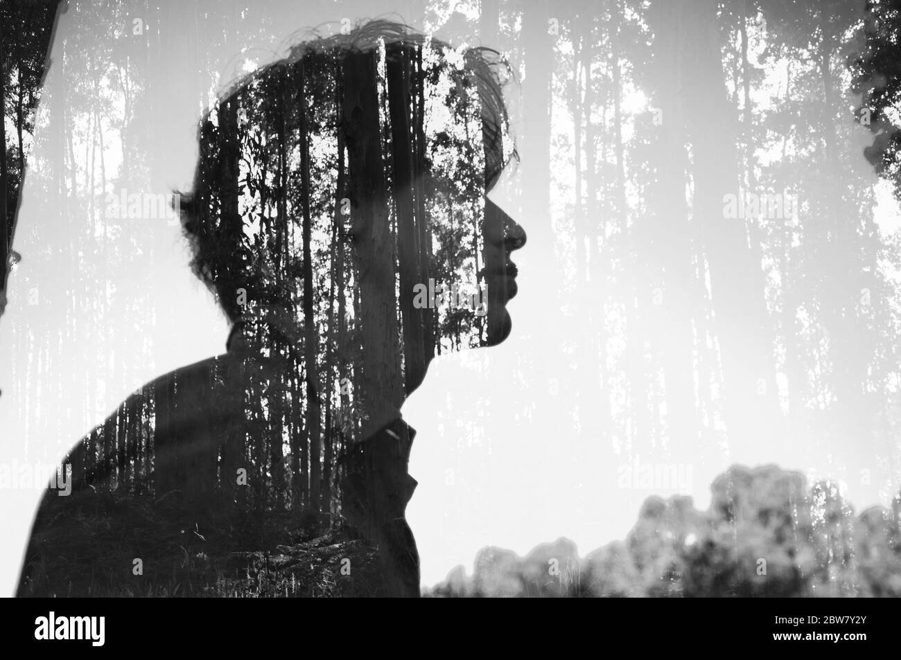 Doppia esposizione reale fatta in macchina fotografica di un uomo e di una foresta Foto Stock