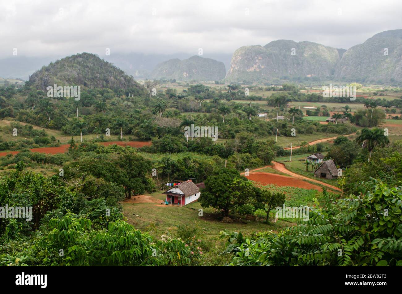 Vista panoramica sulla splendida valle di Viñales a Cuba Foto Stock