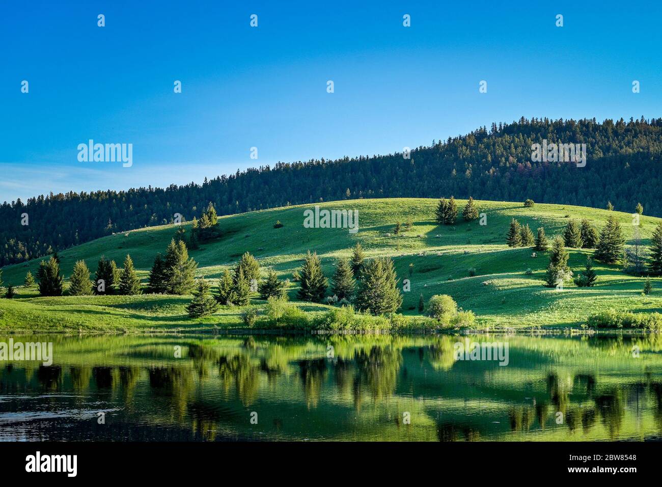 Praterie, Lac Du Bois Area protetta, vicino a Kamloops, British Columbia, Canada Foto Stock
