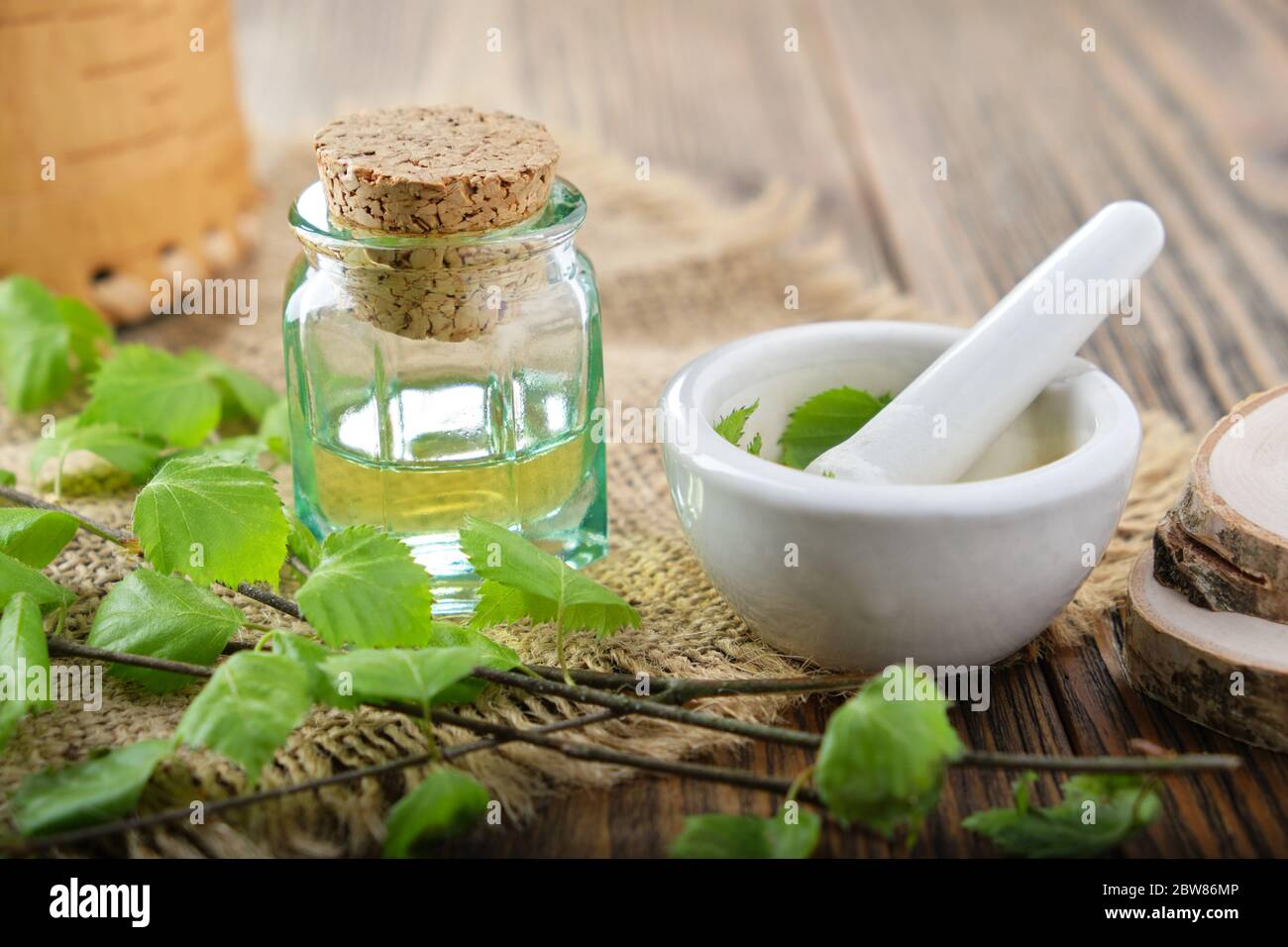 Bottiglia di vetro di olio essenziale di betulla, infuso di erbe o succo. Ramoscelli di Birch albero con foglie, forbici e mortaio su tavola. Foto Stock