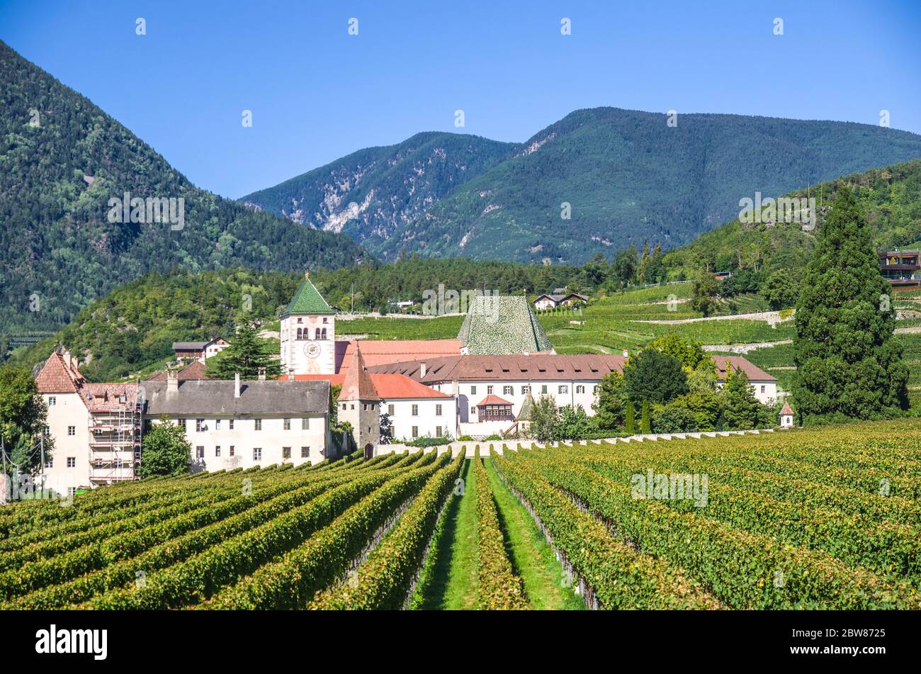 splendidi vigneti dell'abbazia di novacella, in italia, tirolo, antico monastero alpino, con il monastero sullo sfondo, chiesa, campanile, cel Foto Stock
