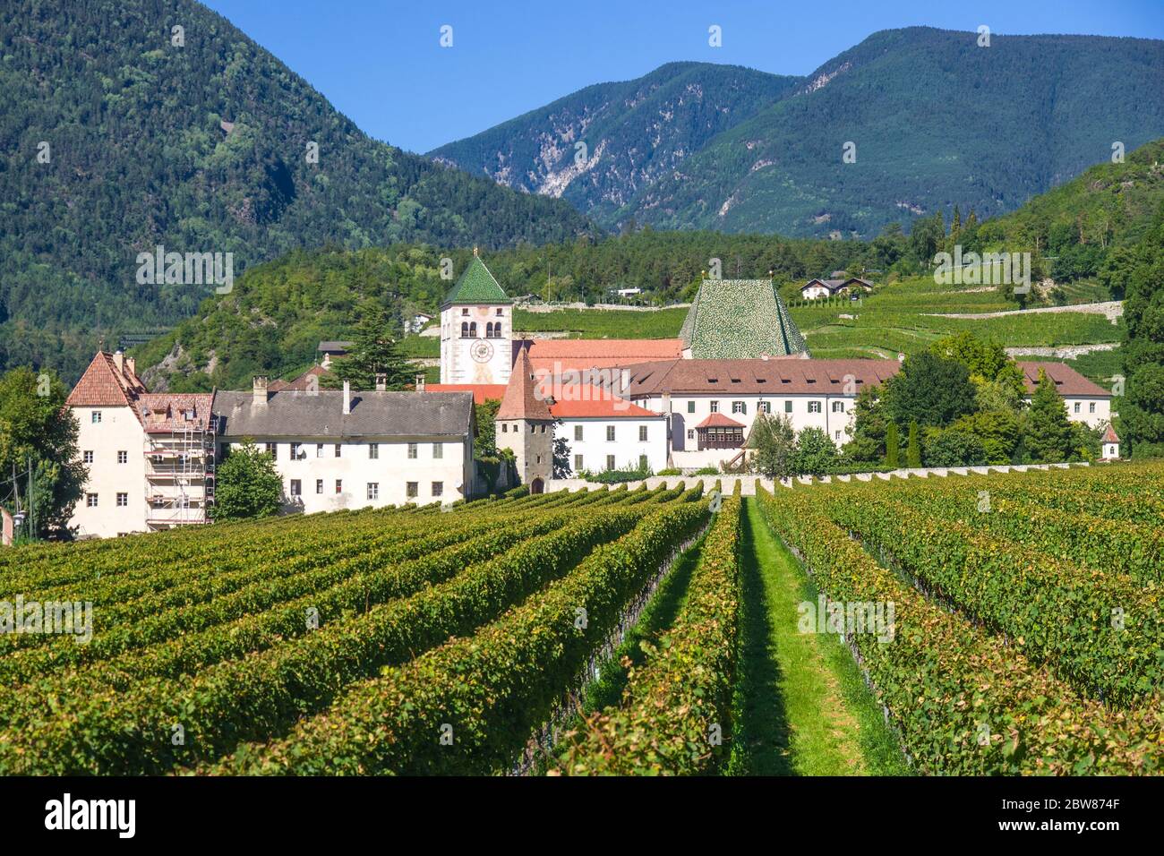 splendidi vigneti dell'abbazia di novacella, in italia, tirolo, antico monastero alpino, con il monastero sullo sfondo, chiesa, campanile, cel Foto Stock