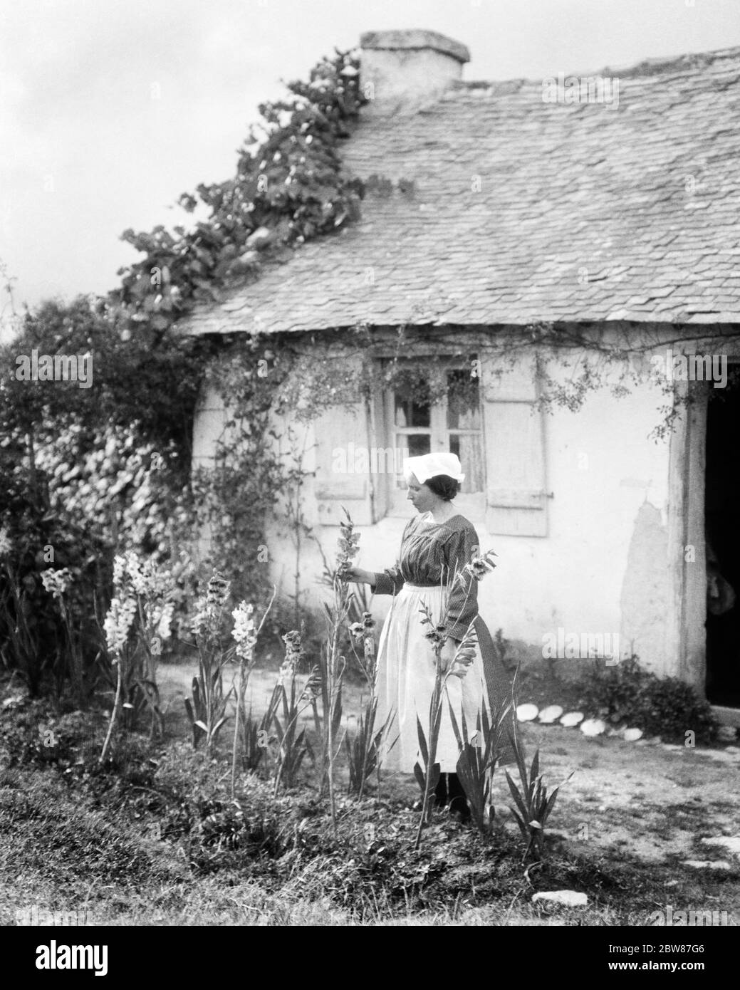 1920 DONNA IN ABITO TRADIZIONALE GREMBIULE E LA TESTA CHE COPRE IN PIEDI FUORI CASA RURALE IN GLADIOLA FIORE LETTO BRETAGNA FRANCIA - C2456 HAR001 HARS EDIFICI TRADIZIONALI SERENITÀ CHE COPRE EUROPA AGRICOLTURA B&W CASA FELICITÀ COTTAGE EUROPEI PROPRIETÀ E L'ESTERNO STRUTTURE IMMOBILIARI EDIFICIO BRETAGNA GLADIOLA GIOVANE DONNA ADULTA NERO E BIANCO CAUCASICO ETNIA HAR001 VECCHIO STILE Foto Stock