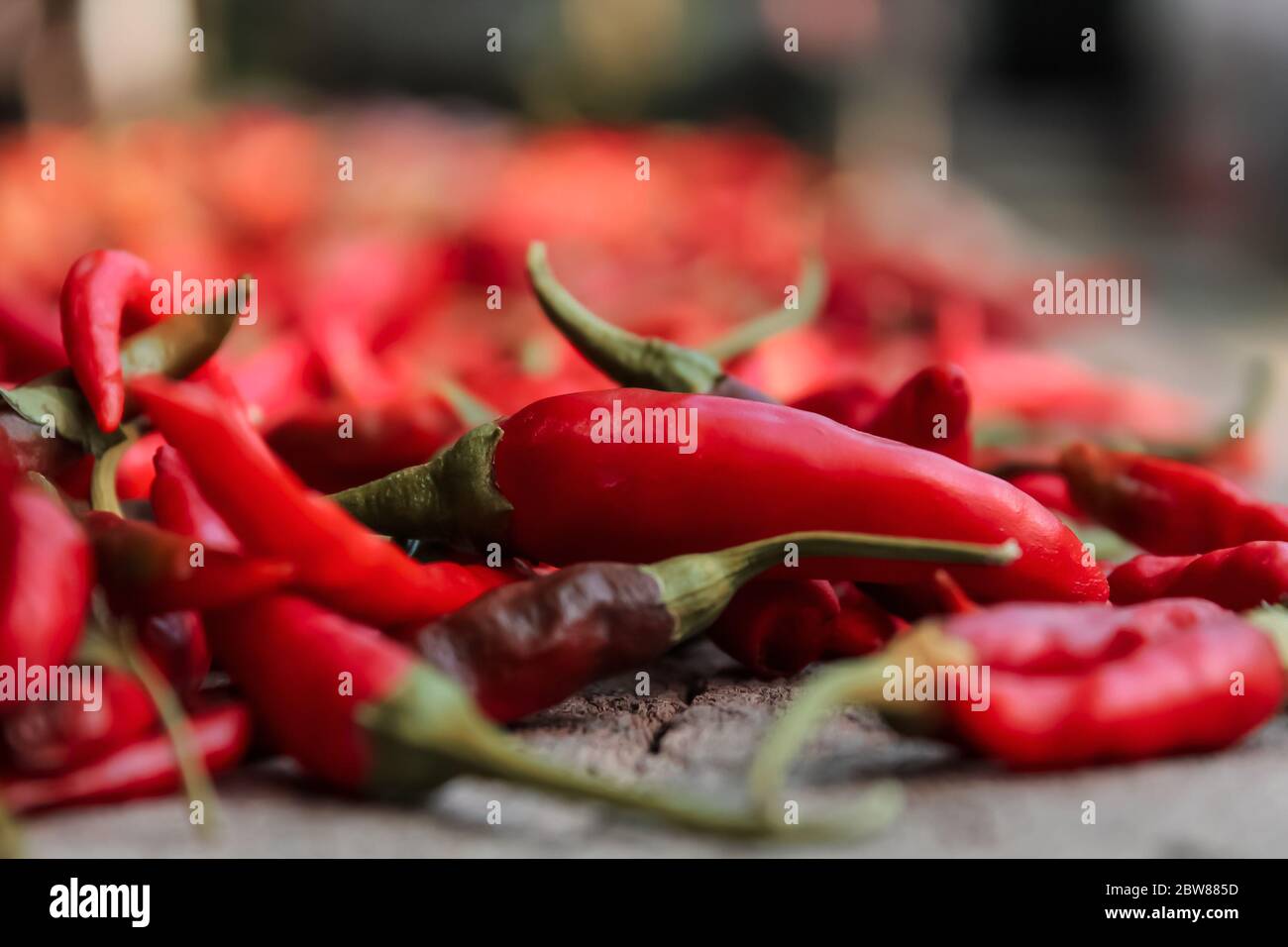 Primo piano fotografia di peperoncino rosso Foto Stock