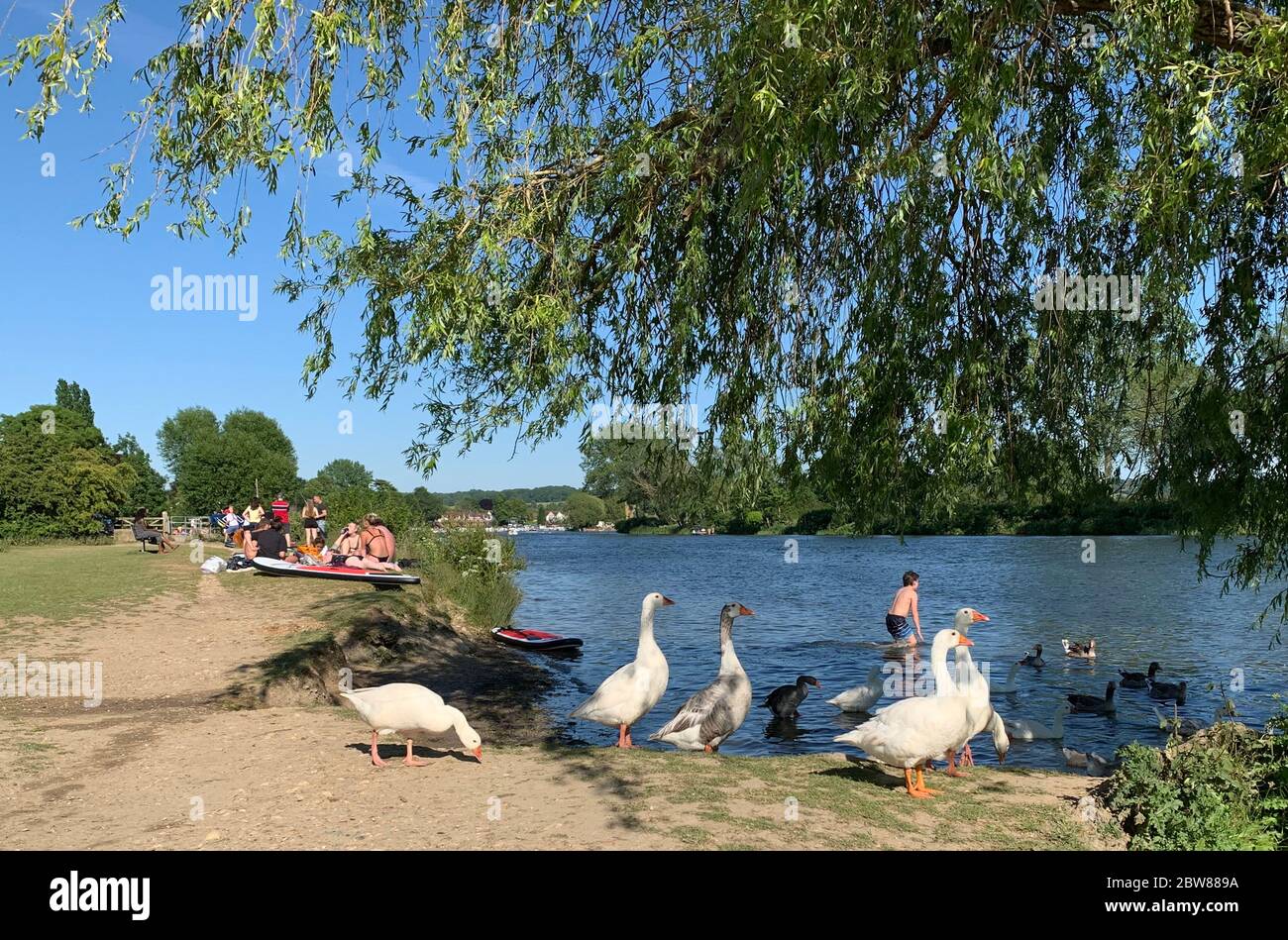 La gente gode del buon tempo sul Tamigi a Bourne End in Buckinghamshire, come si ricorda al pubblico di praticare la distanza sociale a seguito del rilassamento delle restrizioni di blocco. Foto Stock