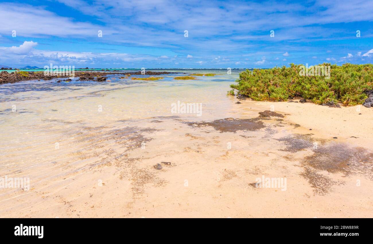 Sabbia bianca e rocce laviche nere sulla spiaggia di Caleton Blanco, Lanzarote, Isole Canarie, Spagna. Spiaggia vulcanica di Lanzarote, Canarie, Spagna Foto Stock