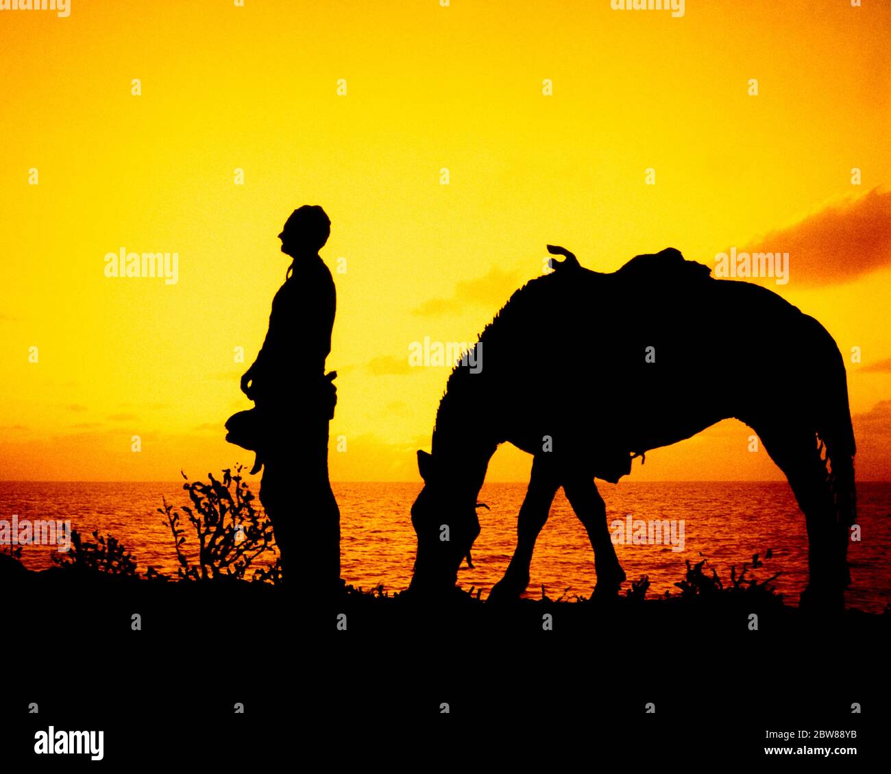 SILHOUETTE ANNI '60 DI ANONIMO WESTERN COWBOY STARE IN PIEDI CAPPELLO IN MANI CHE PREGANO ACCANTO AL SUO CAVALLO PASCOLO VICINO AL LAGO IN TRAMONTO LUMINOSO - KH1632 LAN001 HARS MASCHI WESTERN SERENITY SILHOUETTE SPIRITUALITÀ TRASPORTO PROFILO COWBOYS FELICITÀ MAMMIFERI BRILLANTE AVVENTURA LA SUA FORZA SILHOUETTE E DA IN DI OCCUPAZIONI CONCETTUALE ACCANTO ALLA CONTEMPLAZIONE LONE ELEGANTE ANONIMO MAMMIFERO PASCOLO MEDIO-ADULTO UOMO MEDIO-ADULTO RELAX GRAZIE TOGETHERNESS VECCHIO STILE Foto Stock