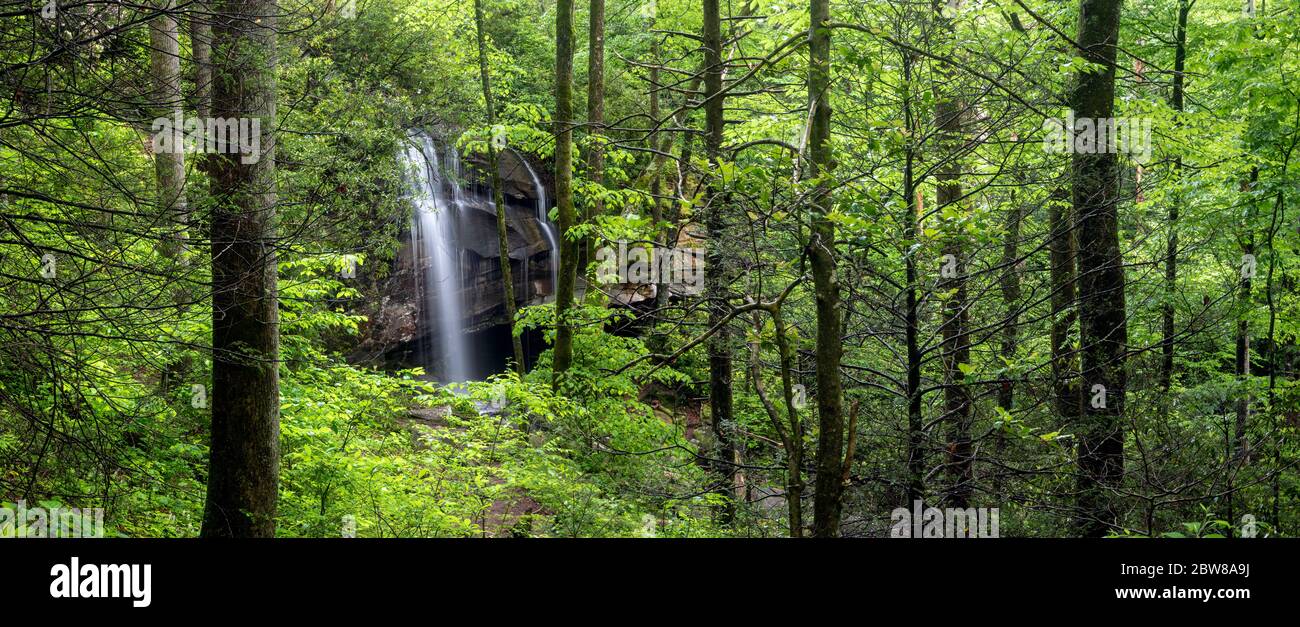 Vista delle cascate di Slick Rock (immagine panoramica) - Pissgah National Forest, Brevard, Carolina del Nord, Stati Uniti Foto Stock