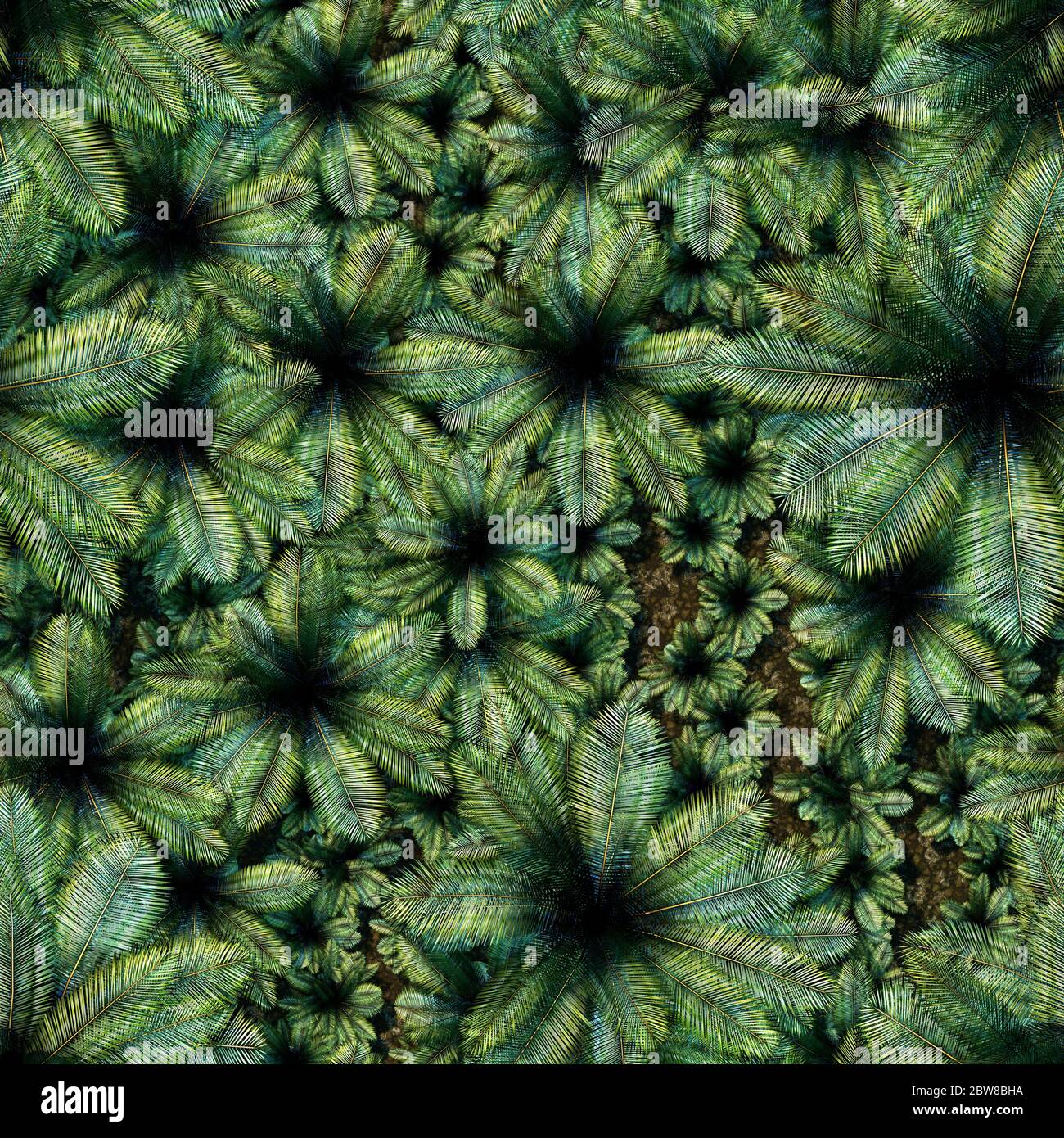 Modello perfettamente avvolbile di una giungla con diverse dimensioni di palme Foto Stock