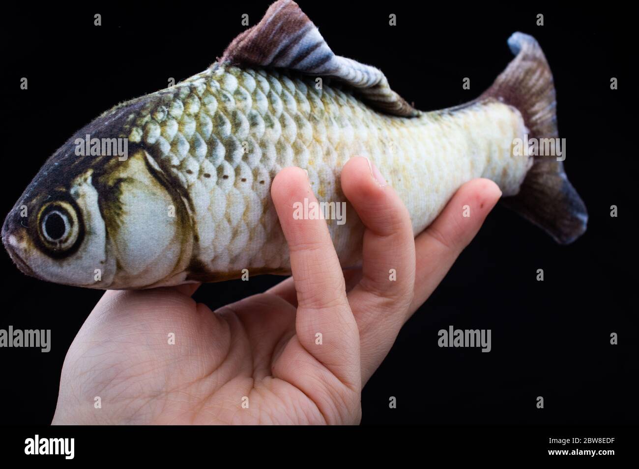Pesce falso in mano su uno sfondo di tessuto nero Foto Stock