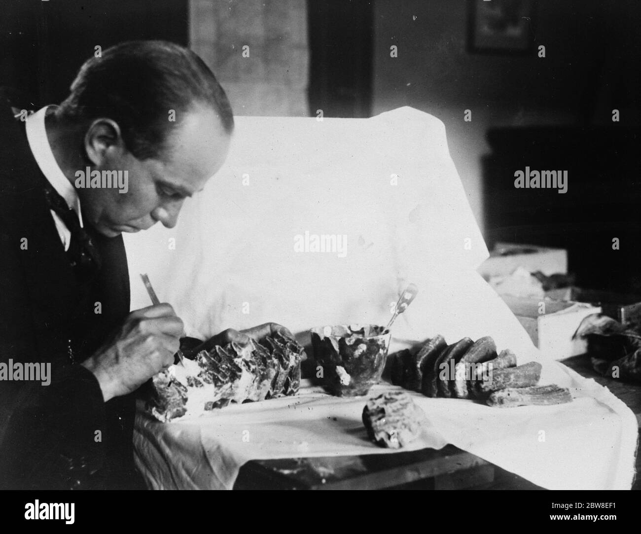 I denti di un mammut di 10,000 anni . Il Professor R A Sart , scopritore del teschio di Taungs che ricostruisce i denti di un mammut di 10,000 anni . 20 novembre 1928 Foto Stock